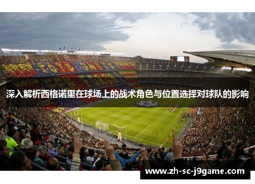 深入解析西格诺里在球场上的战术角色与位置选择对球队的影响
